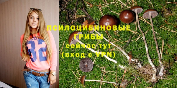 СК Семёнов