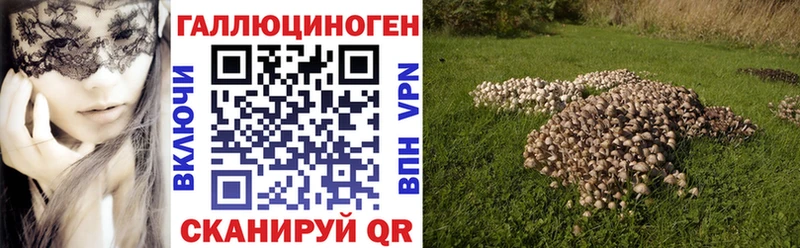 Псилоцибиновые грибы мухоморы  Семилуки 