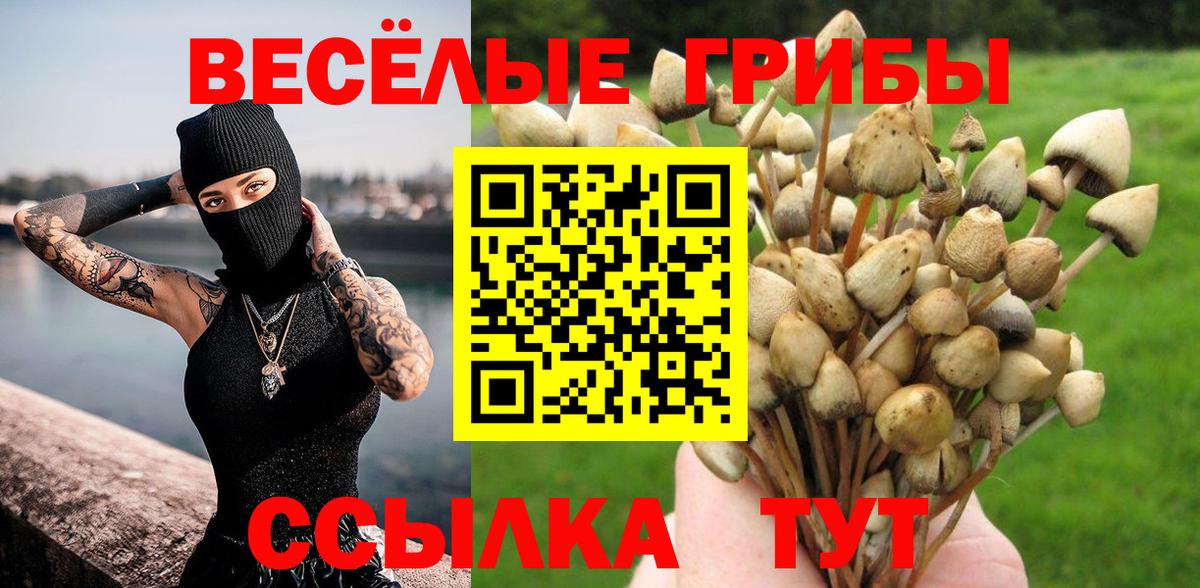 Семилуки  Псилоцибиновые грибы Cubensis  Вход с VPN  Галлюциногенные грибы мицелий 
