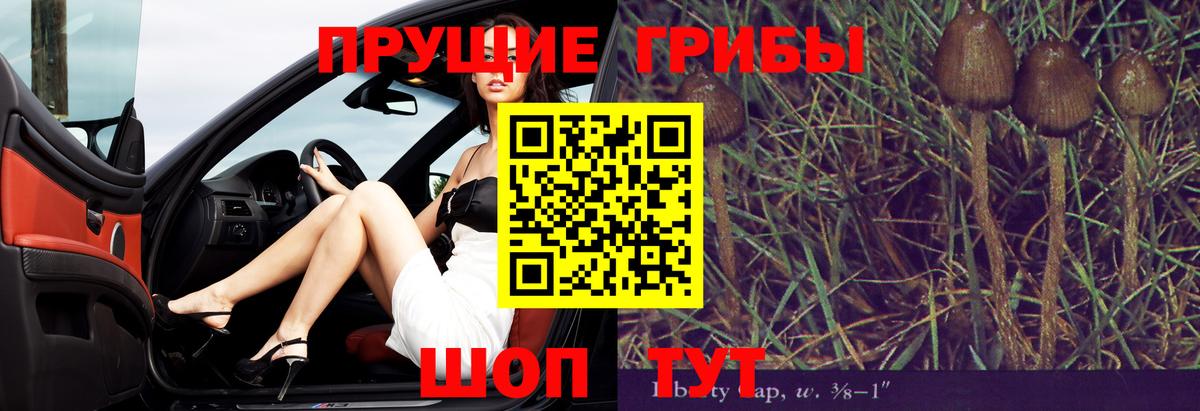 Галлюциногенные грибы ЛСД Семилуки